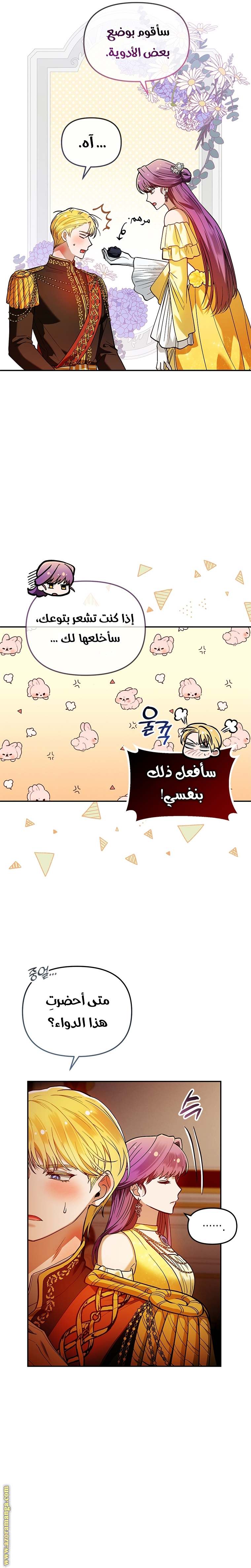 الصفحة 13
