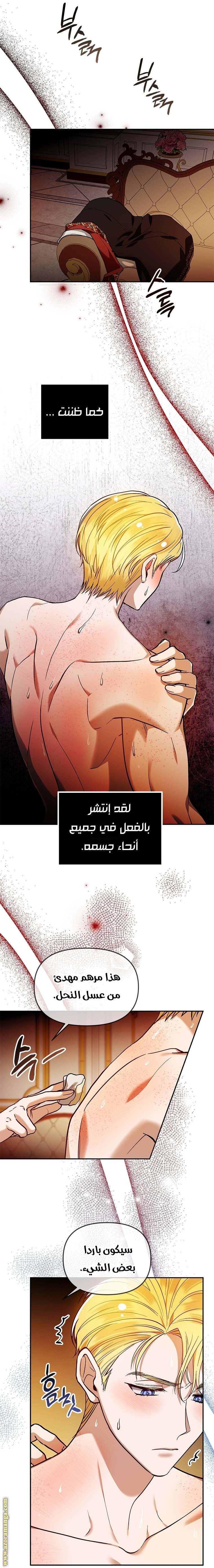 الصفحة 14