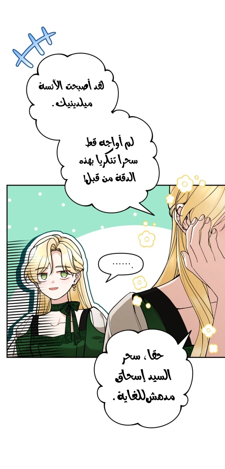 الصفحة 42
