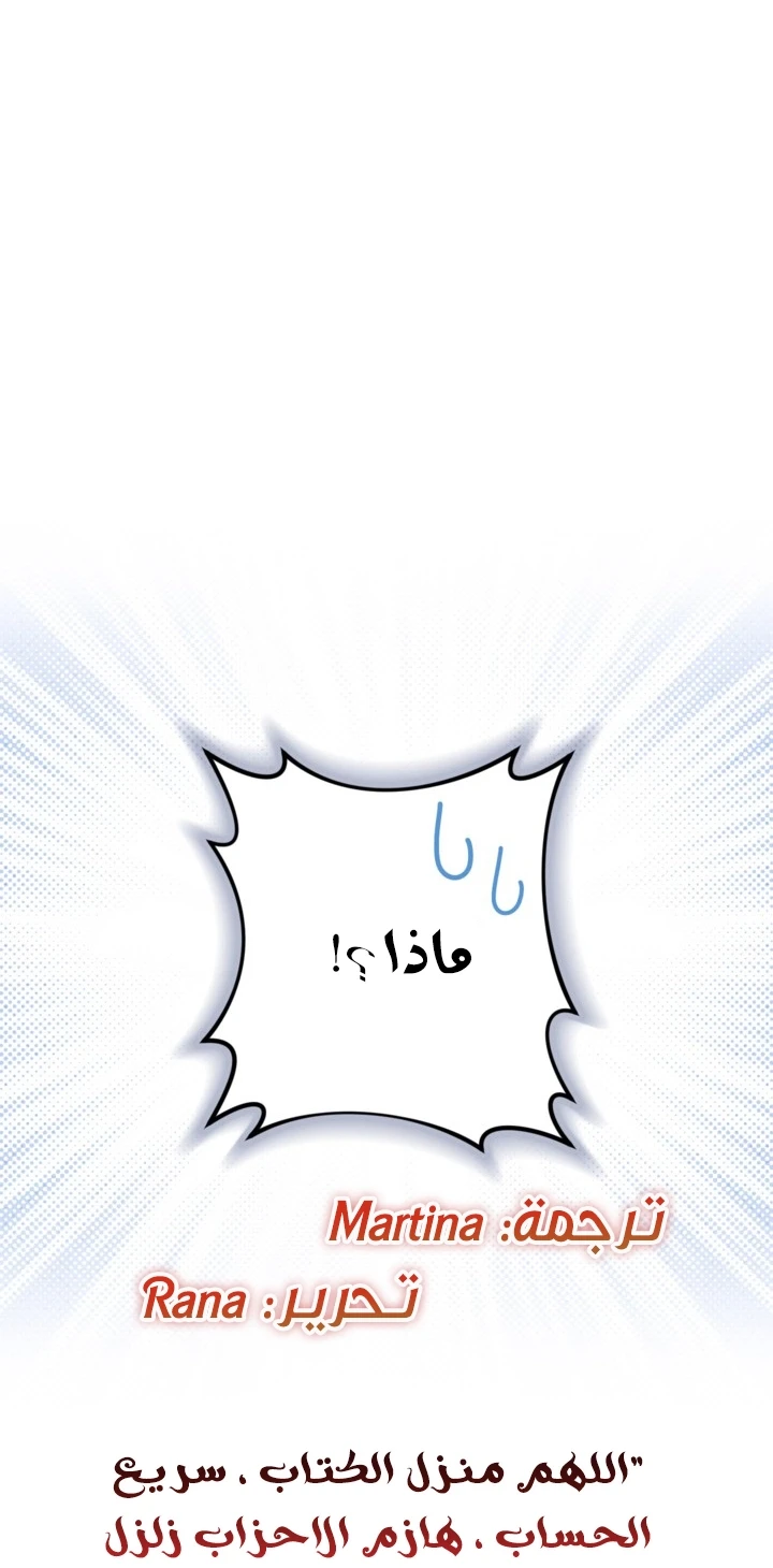 الصفحة 52