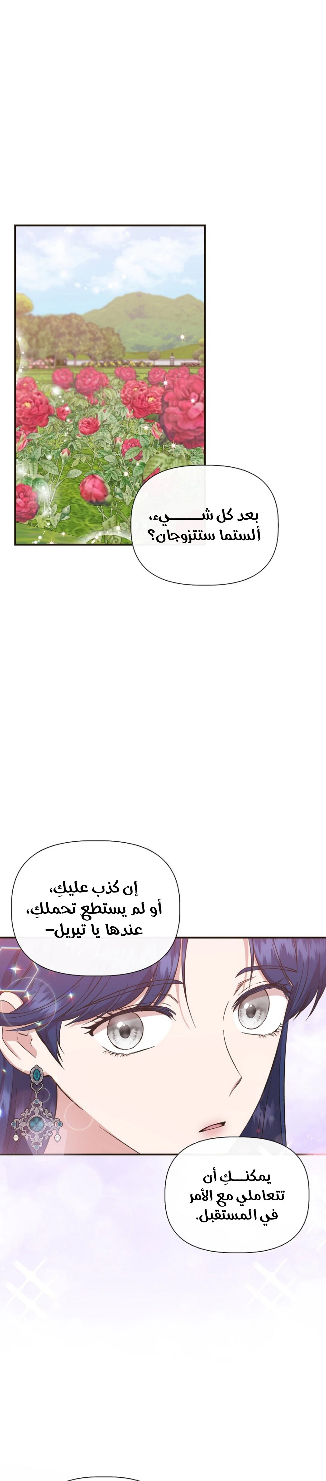 الصفحة 26