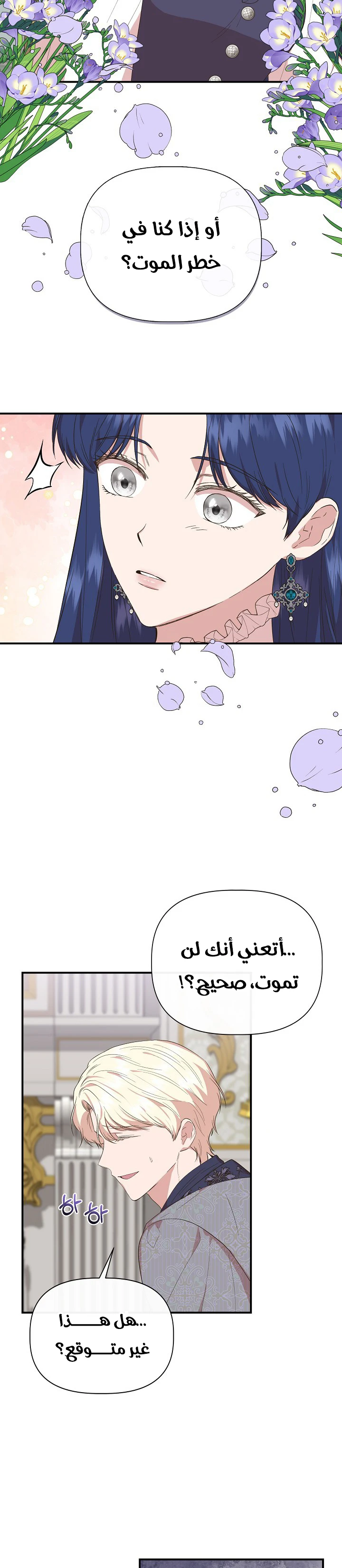 الصفحة 17