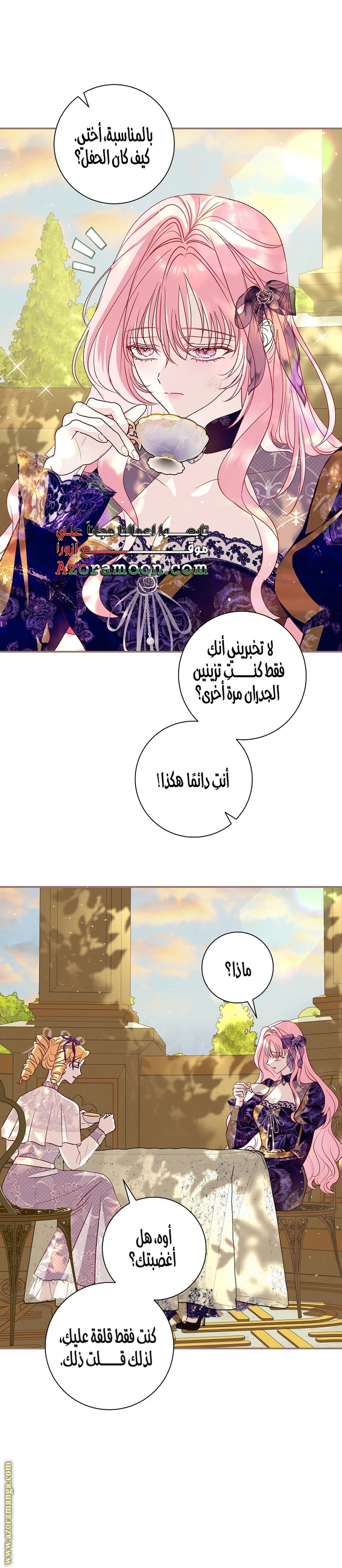 الصفحة 17