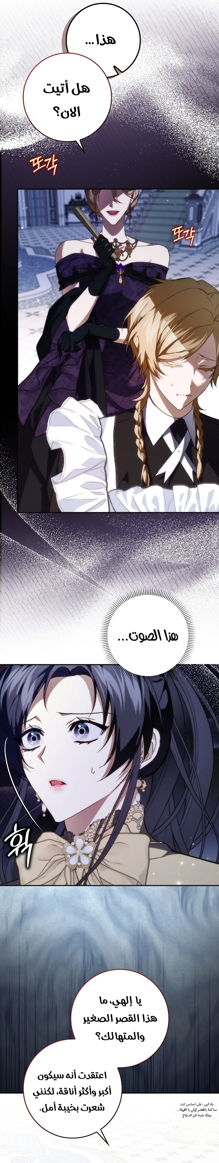 الصفحة 17
