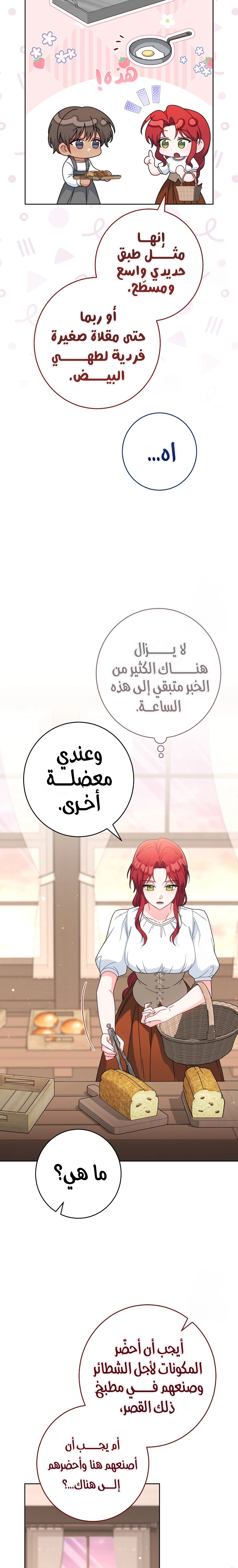 الصفحة 13