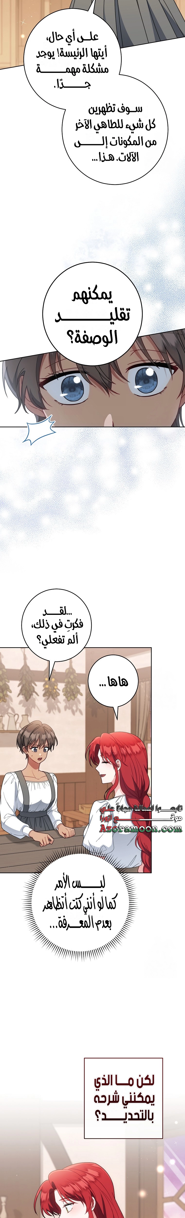 الصفحة 17