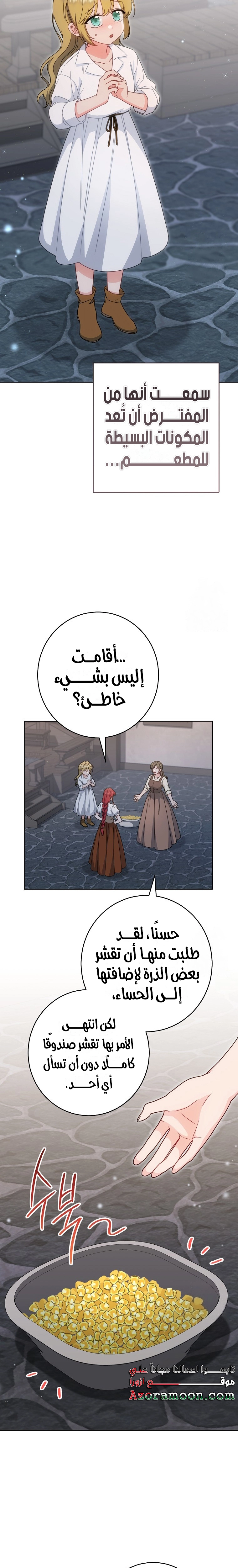 الصفحة 24