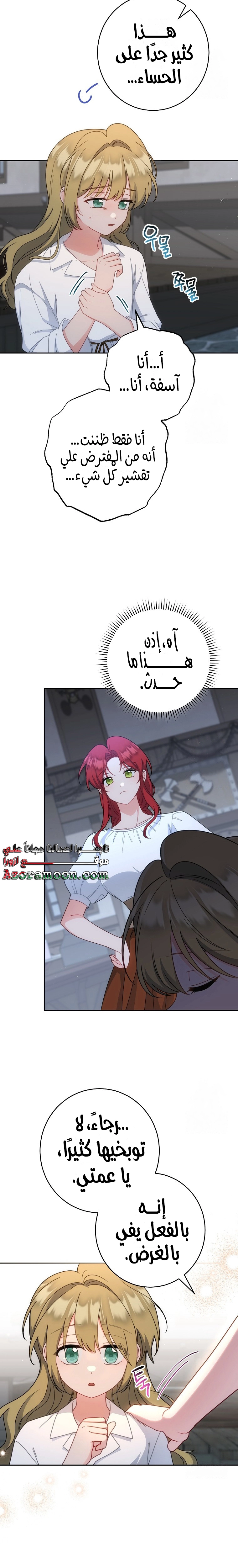 الصفحة 25