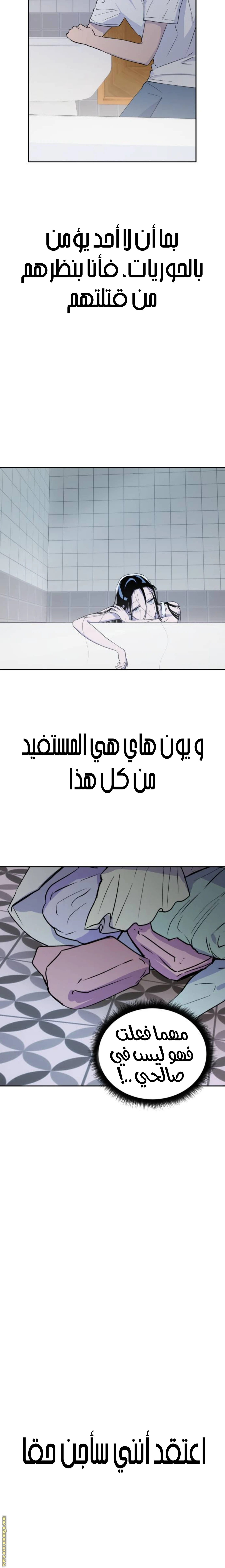 الصفحة 13