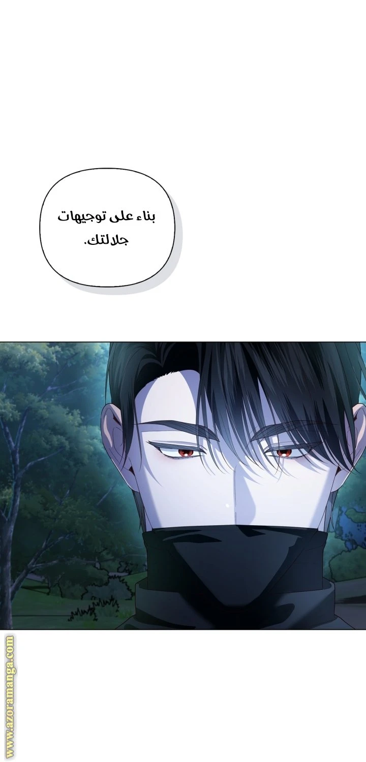 الصفحة 27