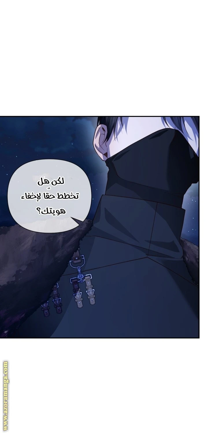 الصفحة 31
