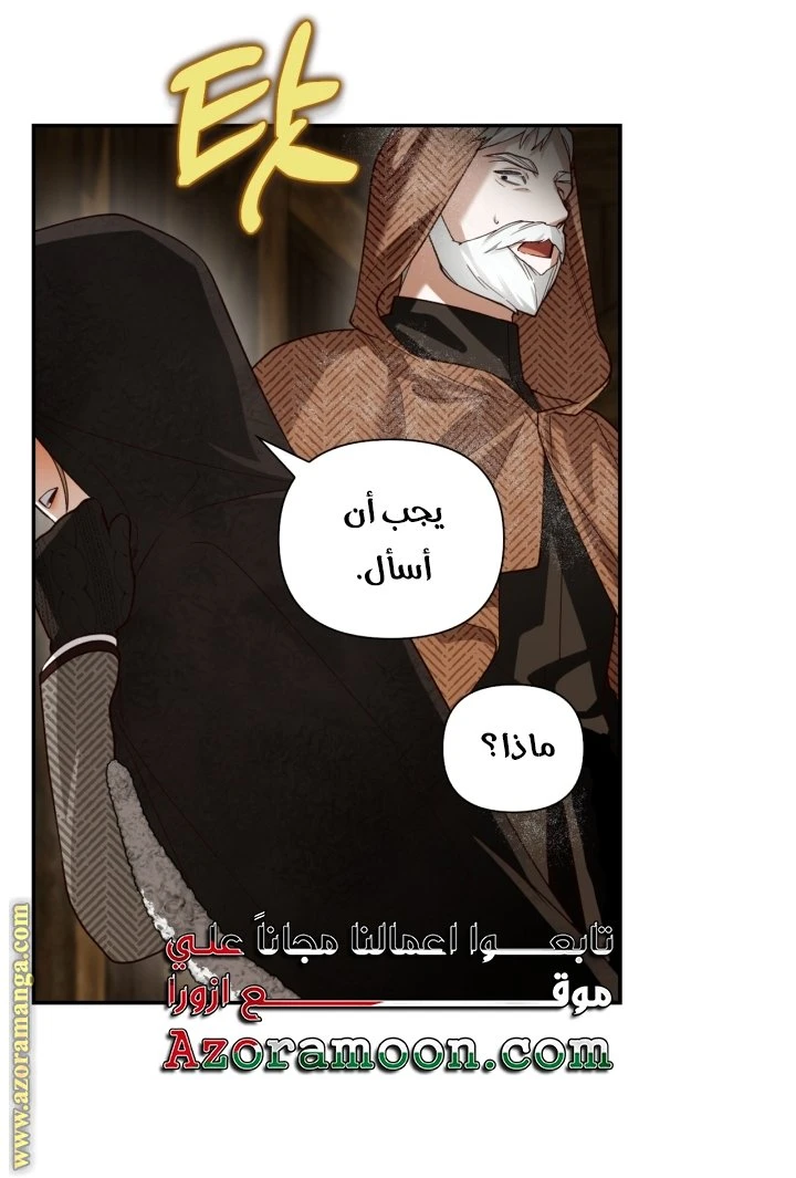 الصفحة 43