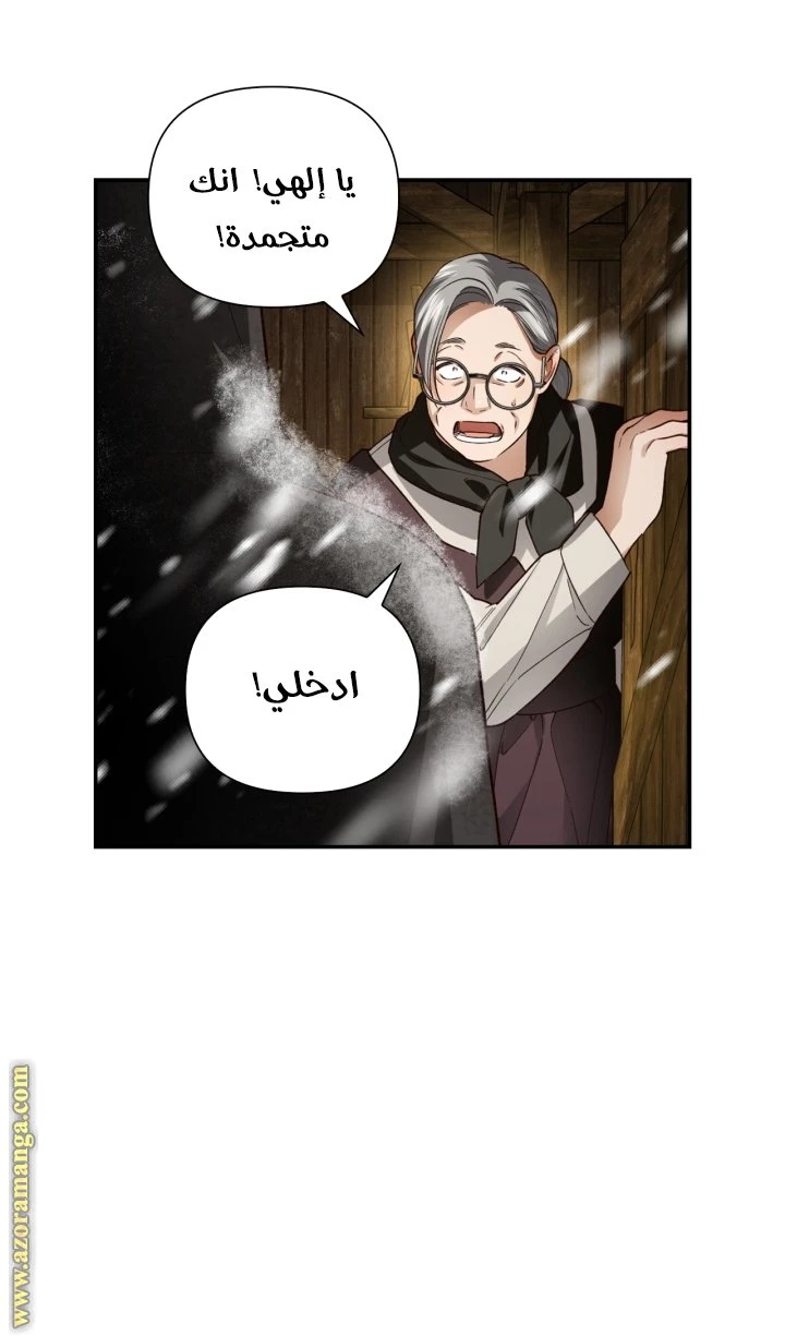 الصفحة 46