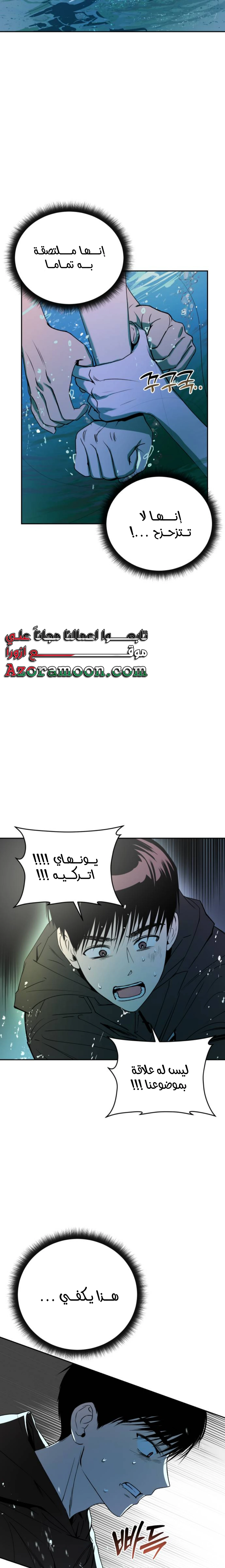 الصفحة 17