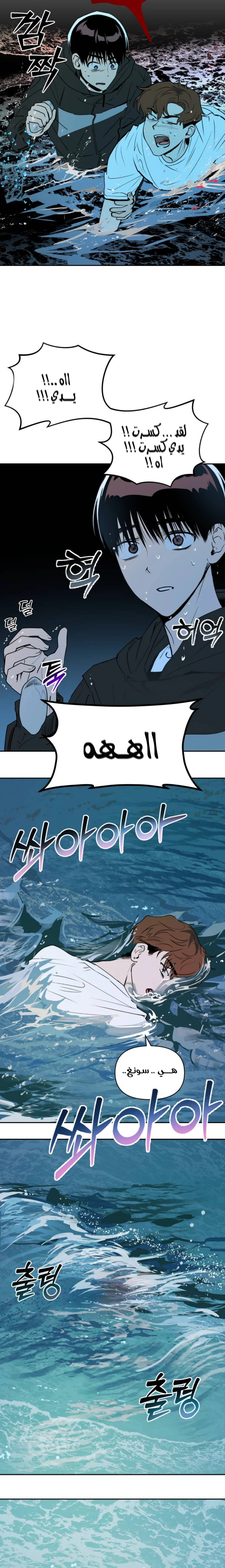 الصفحة 20