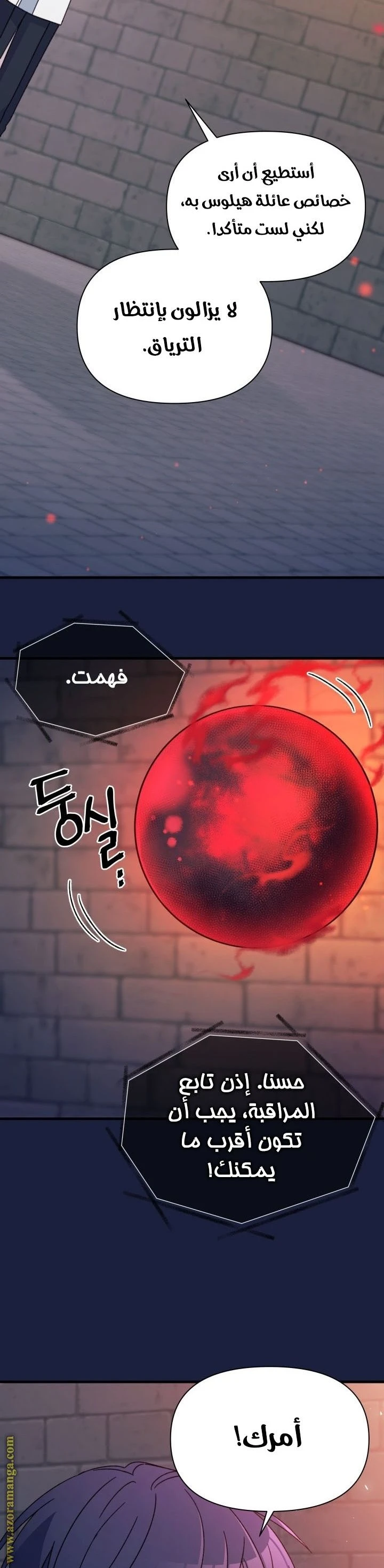 الصفحة 17
