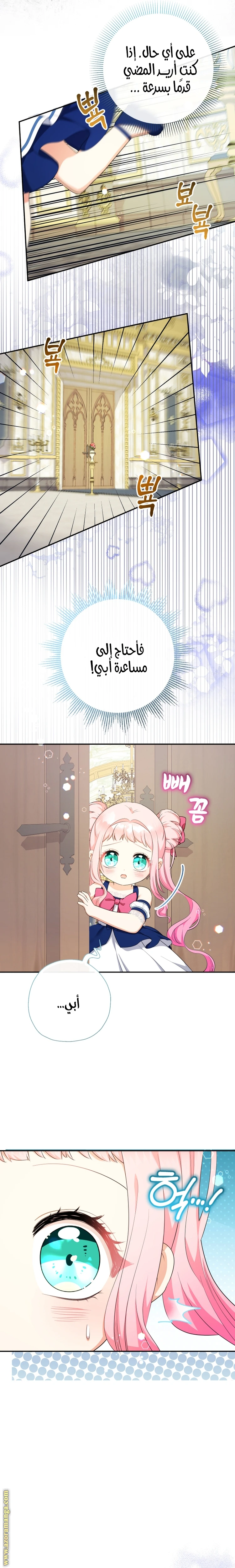 الصفحة 17