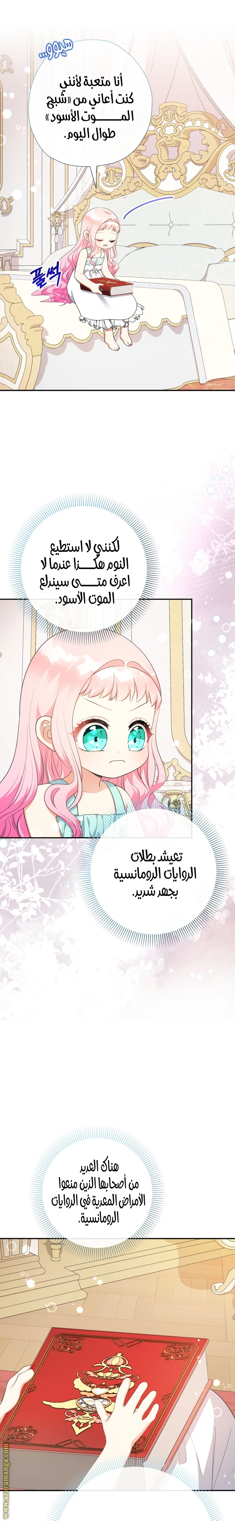 الصفحة 29