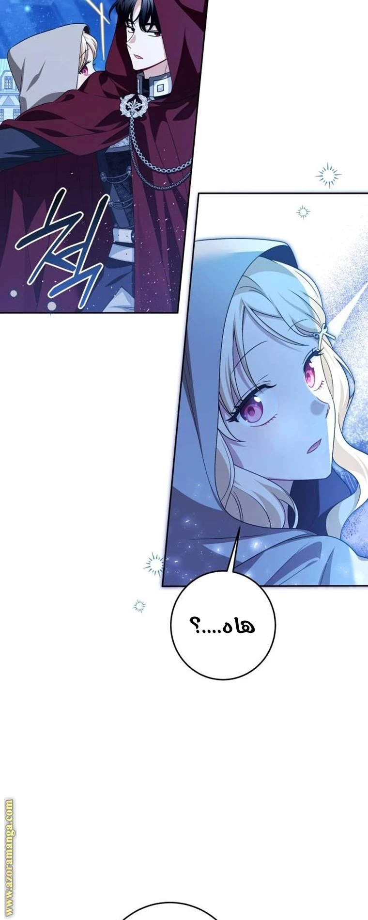 الصفحة 24