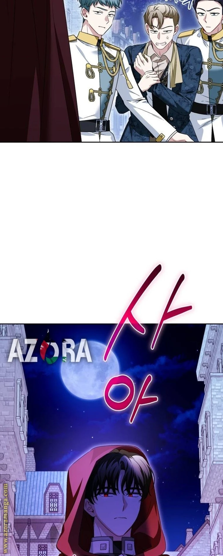 الصفحة 41