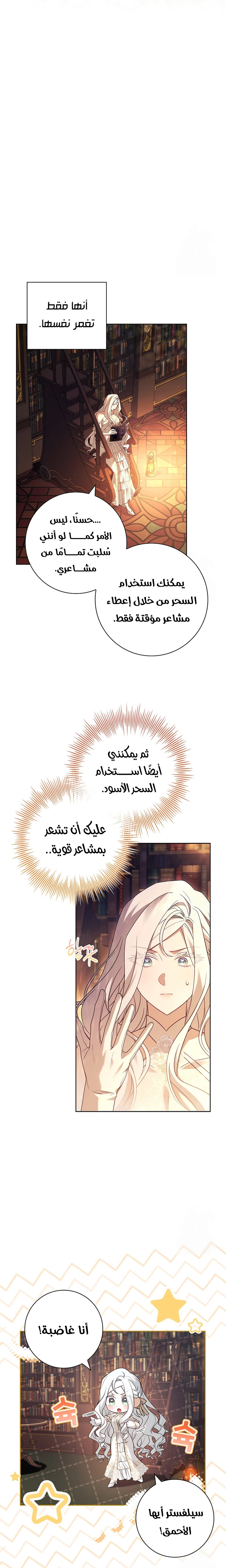 الصفحة 13