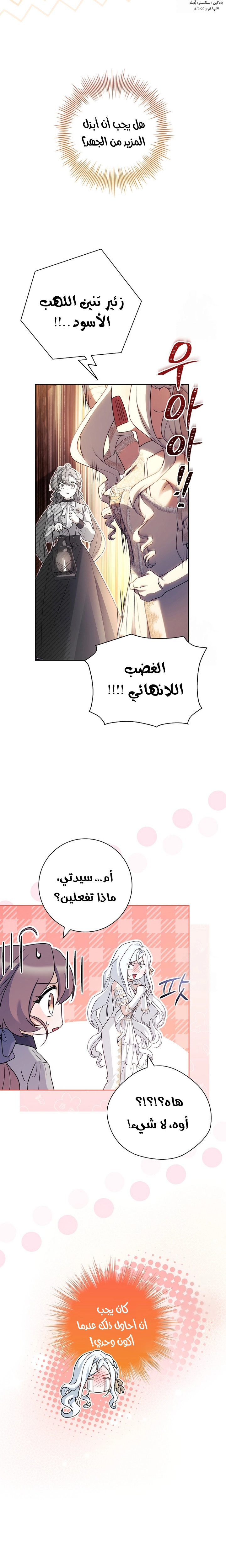 الصفحة 14