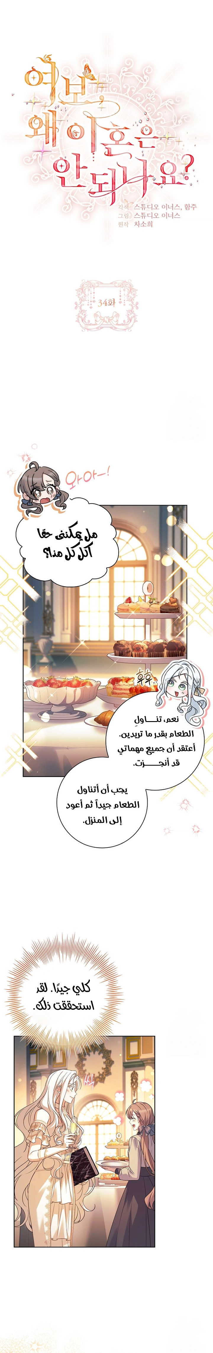 الصفحة 16