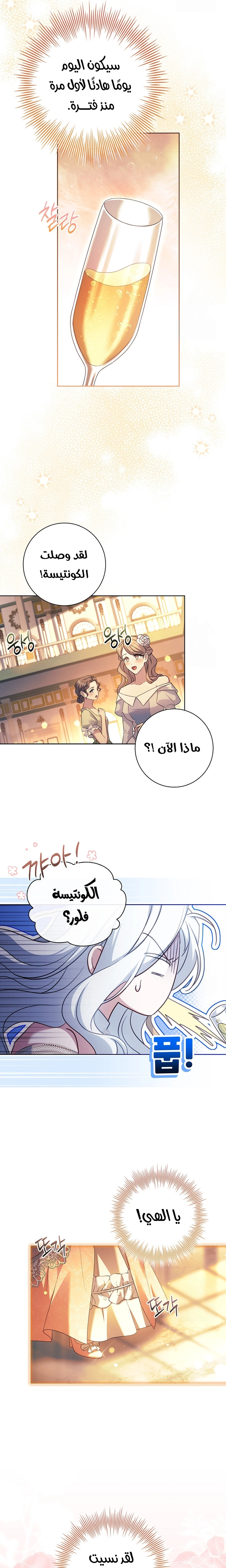 الصفحة 17