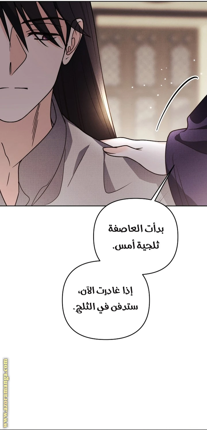 الصفحة 17