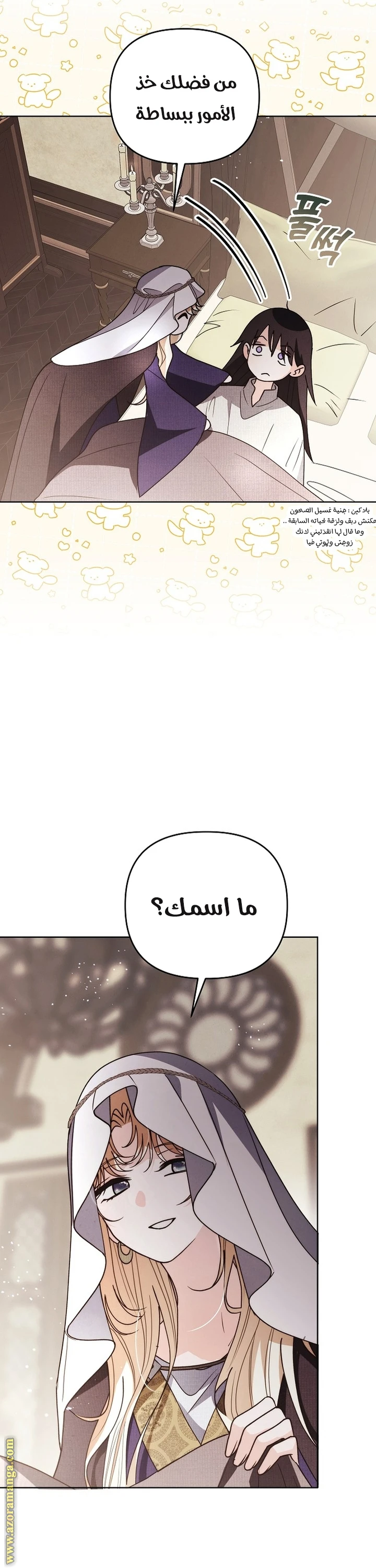 الصفحة 21