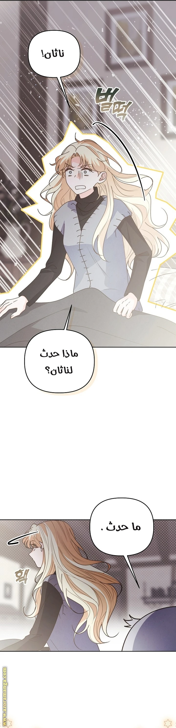 الصفحة 29