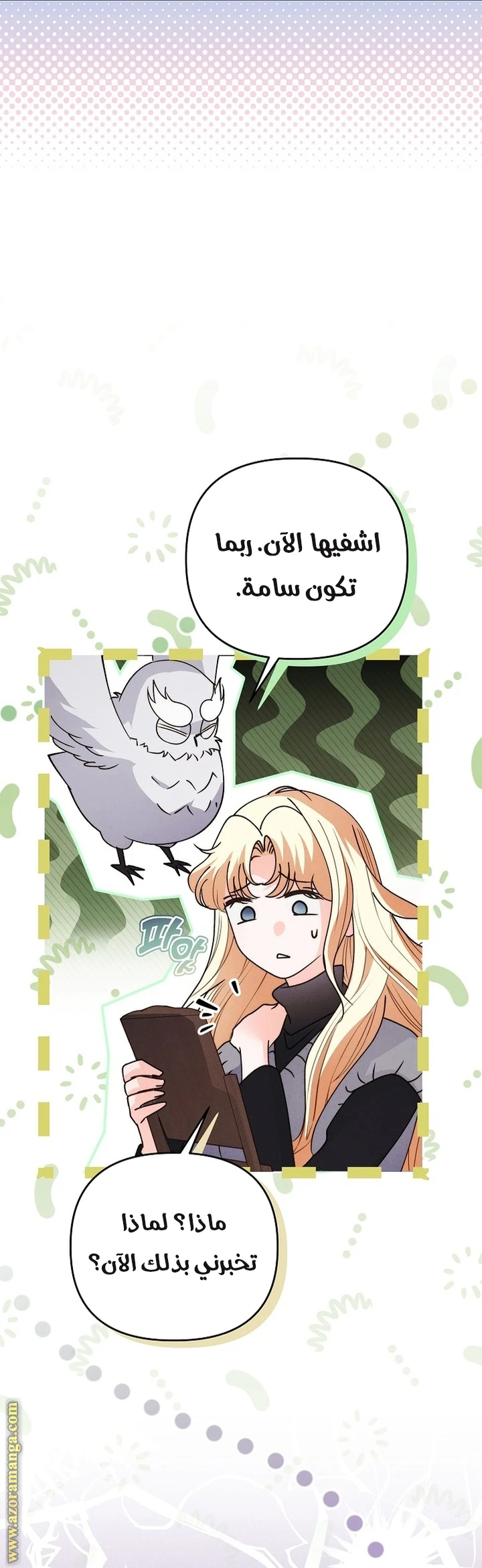 الصفحة 41