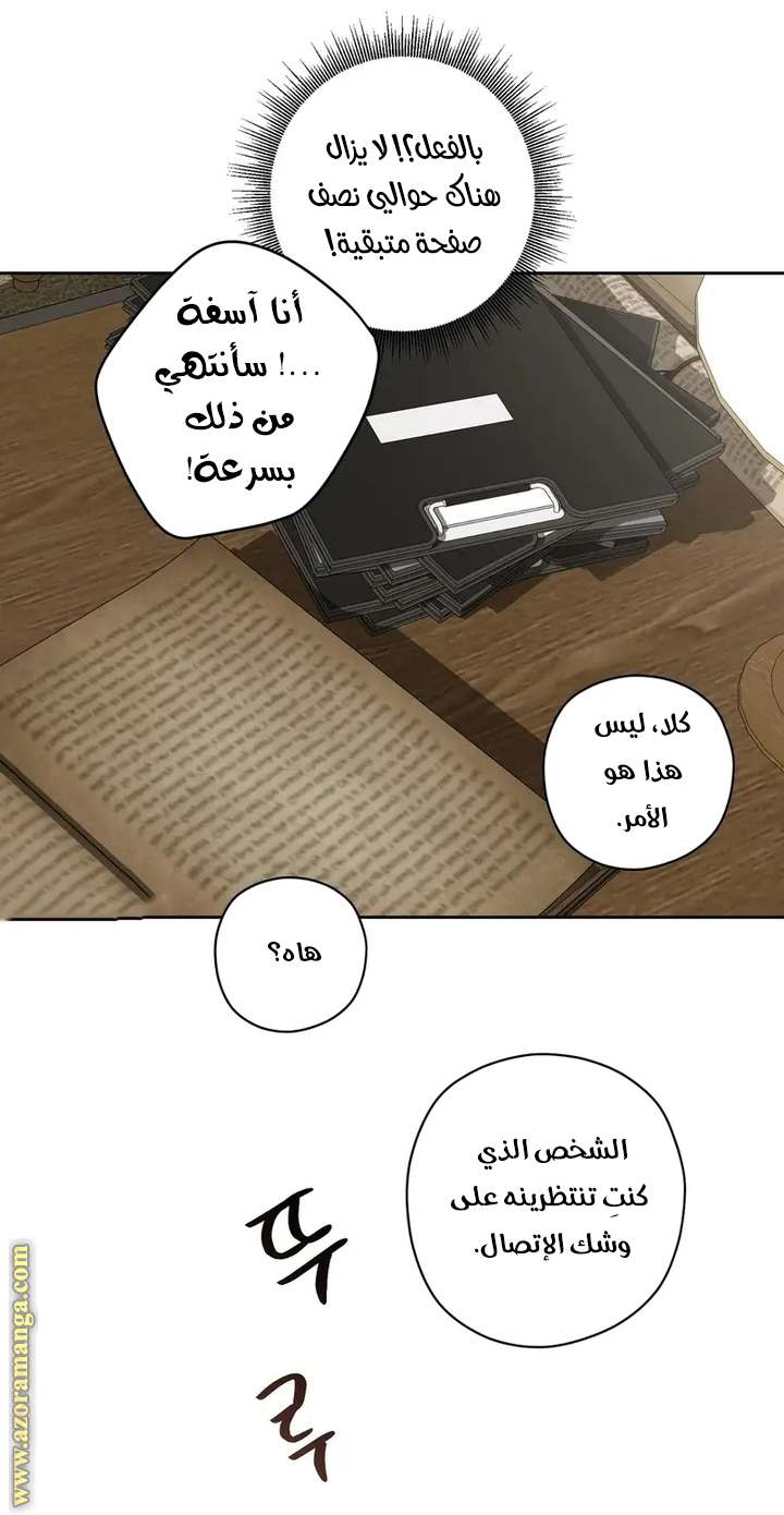 الصفحة 41