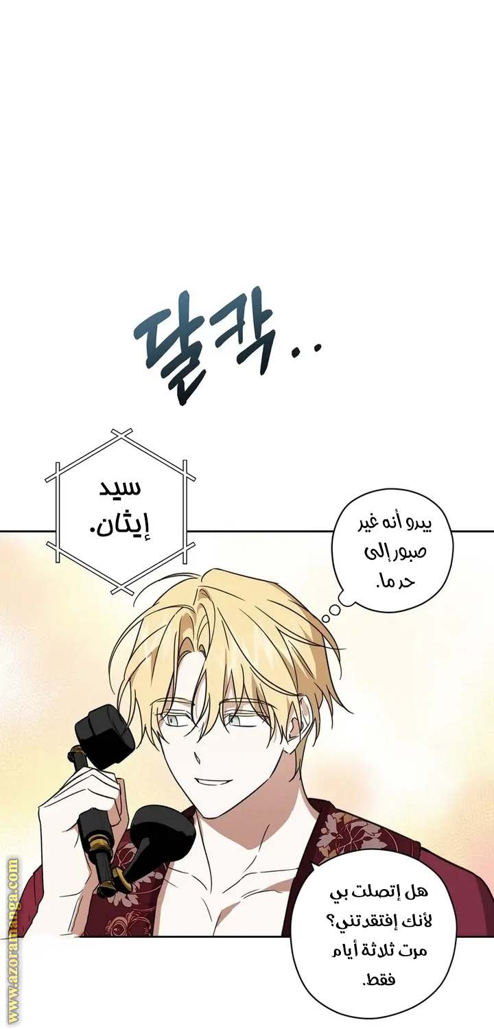 الصفحة 44