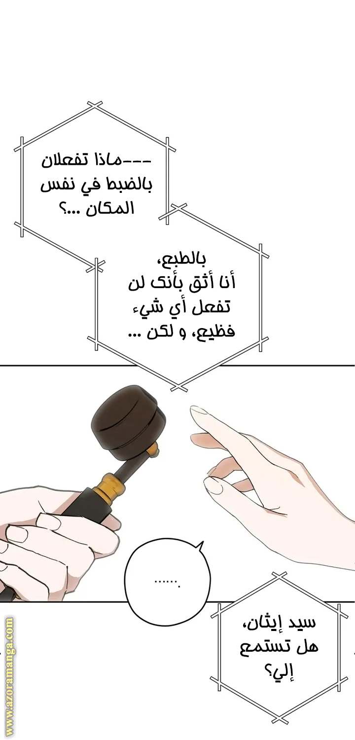 الصفحة 47