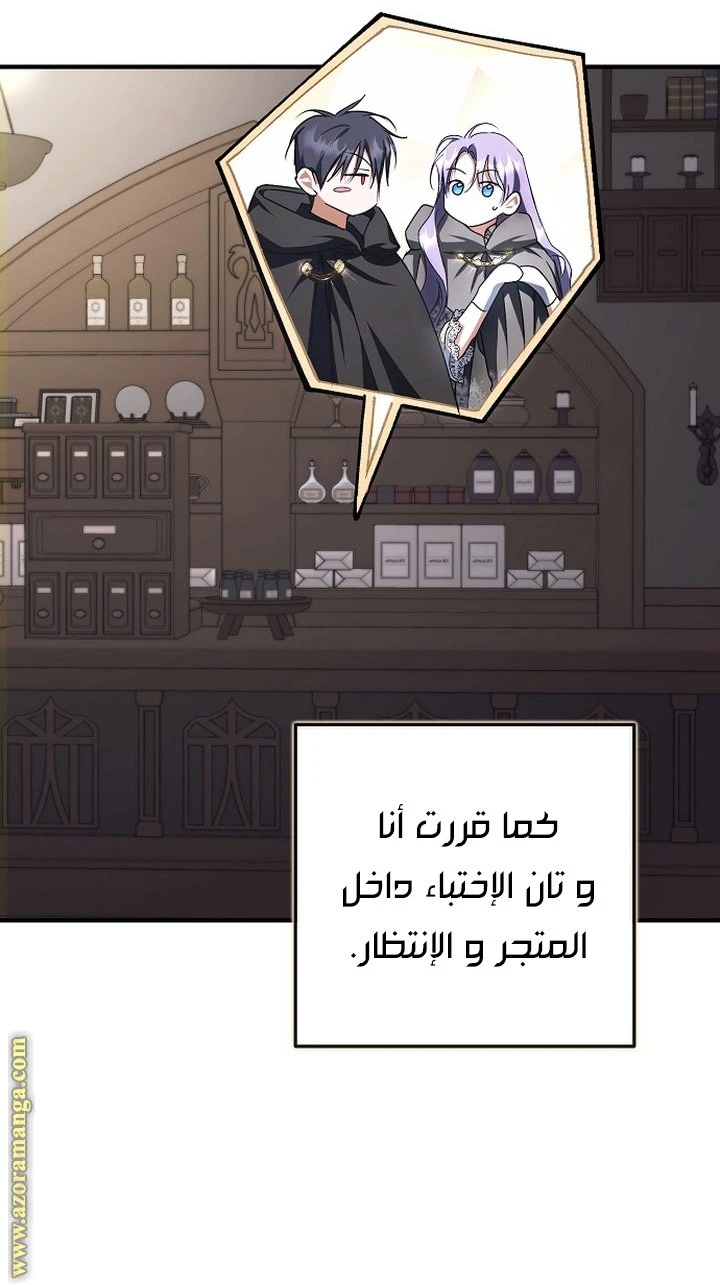 الصفحة 19