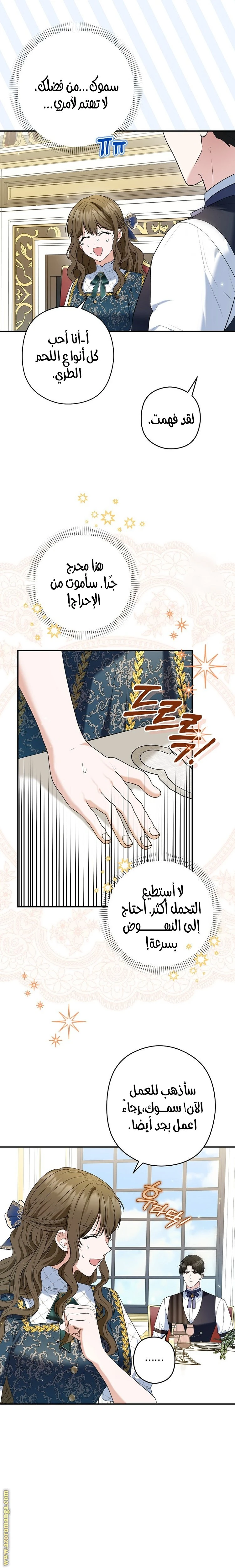 الصفحة 17