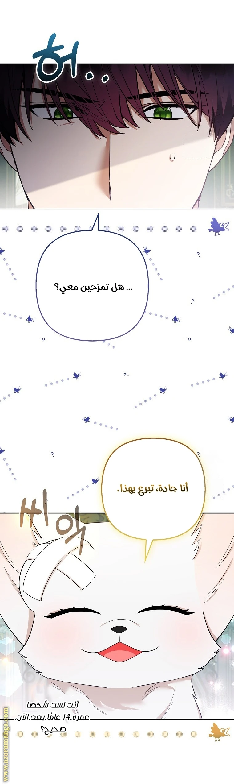 الصفحة 22