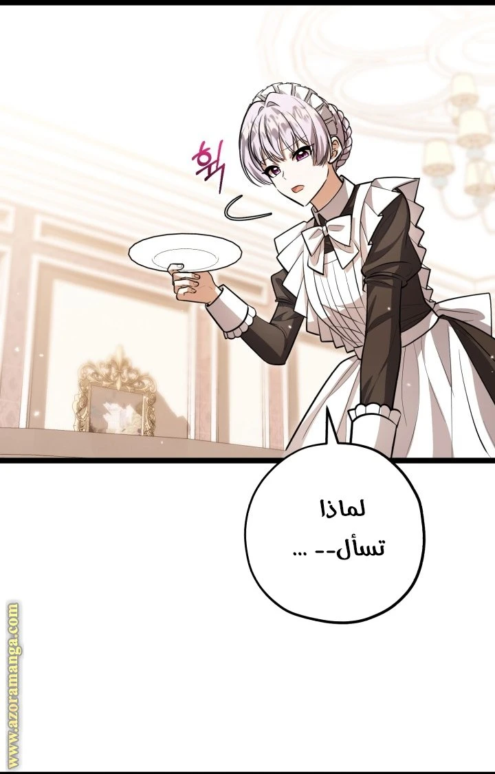 الصفحة 25