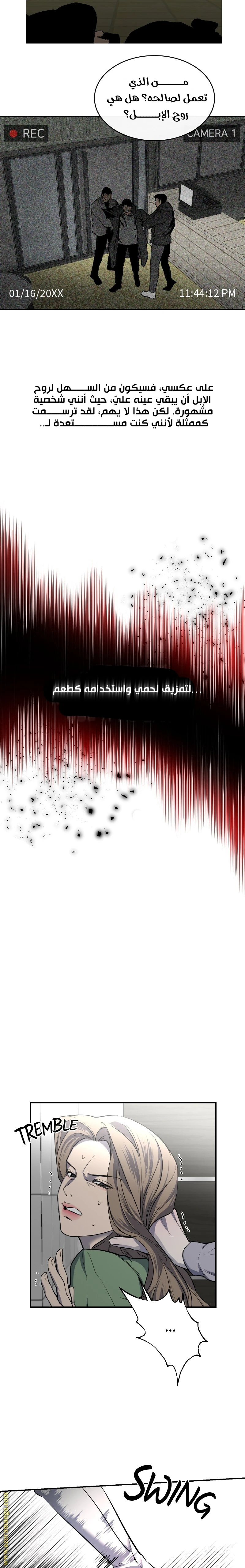 الصفحة 11