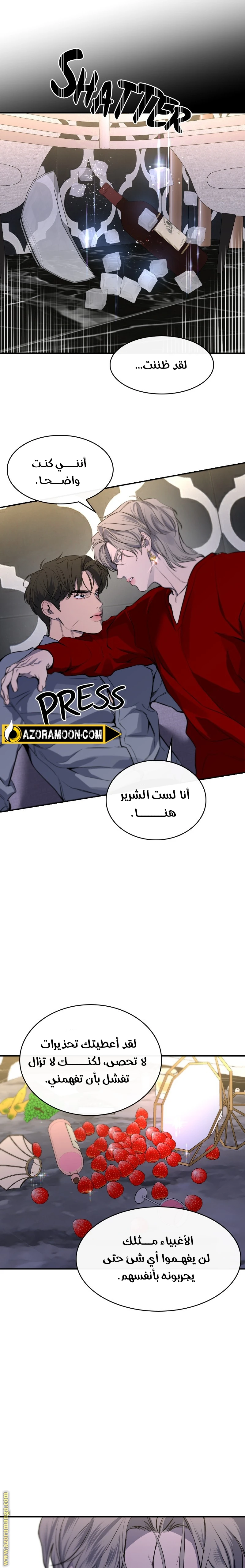 الصفحة 13