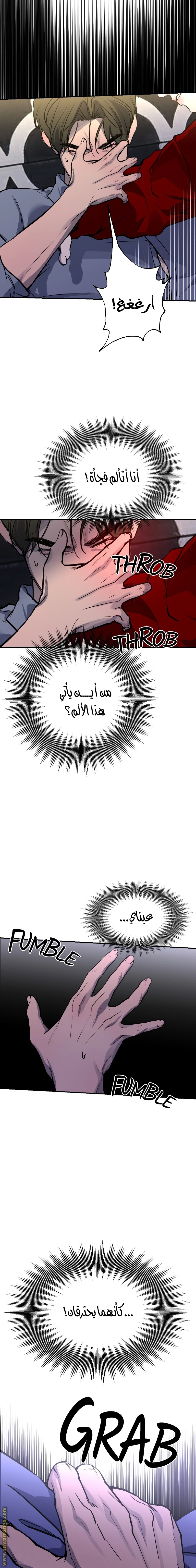 الصفحة 26