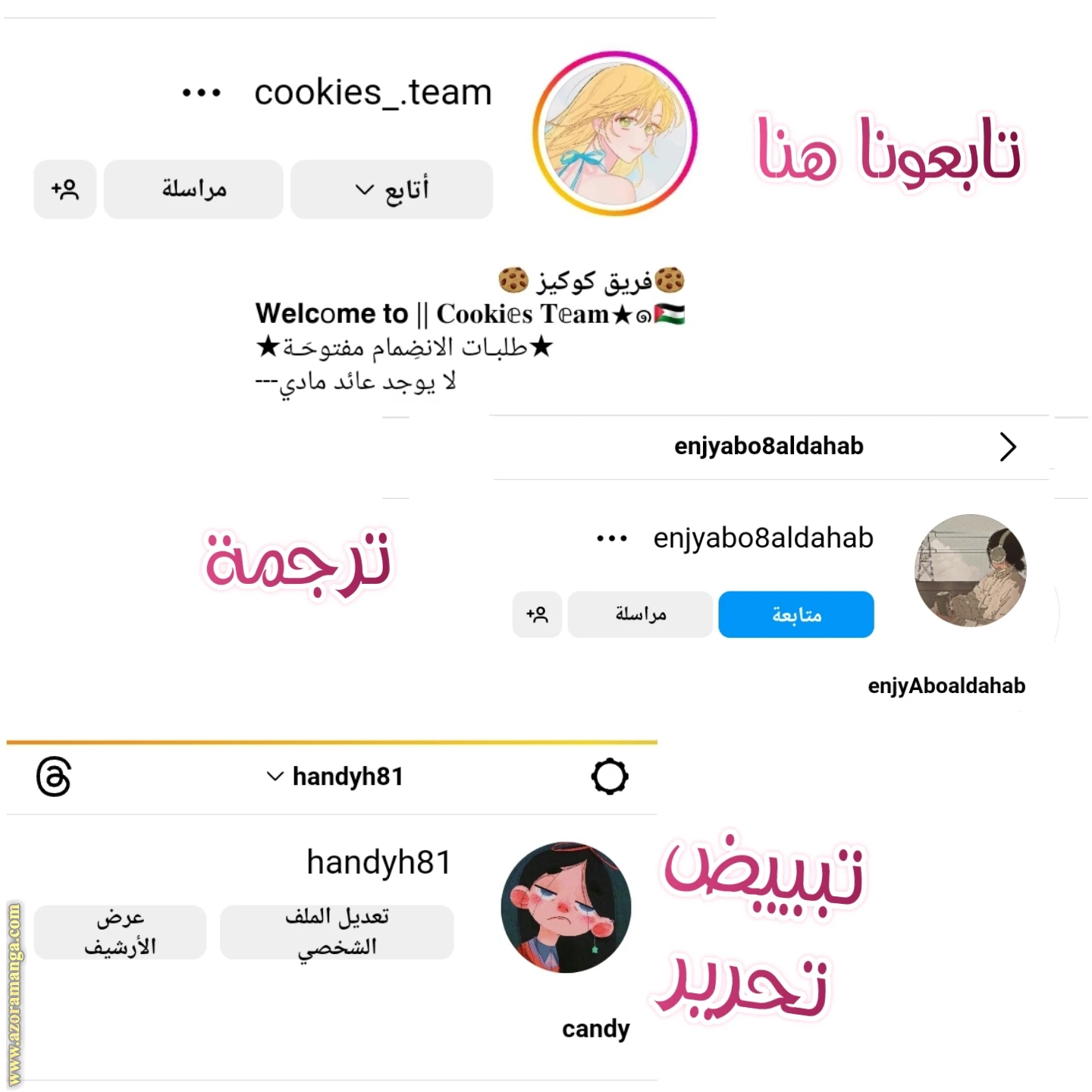 الصفحة 29