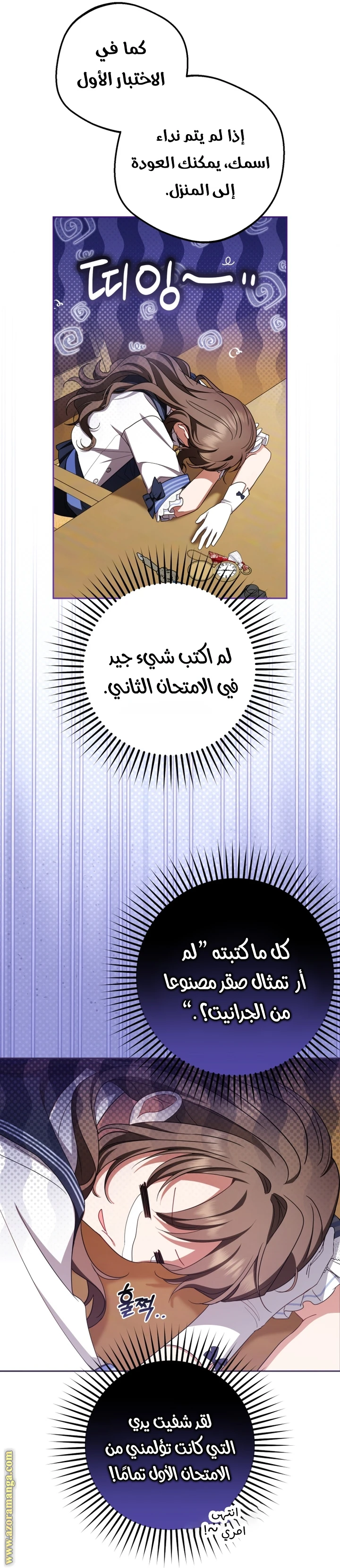 الصفحة 13