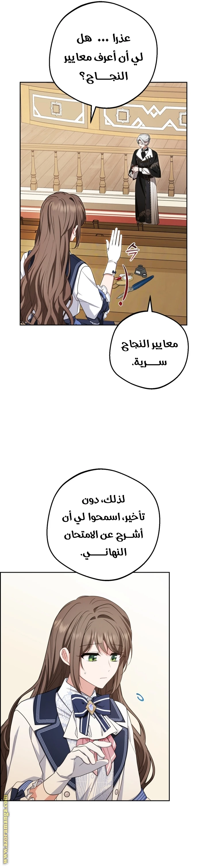 الصفحة 17