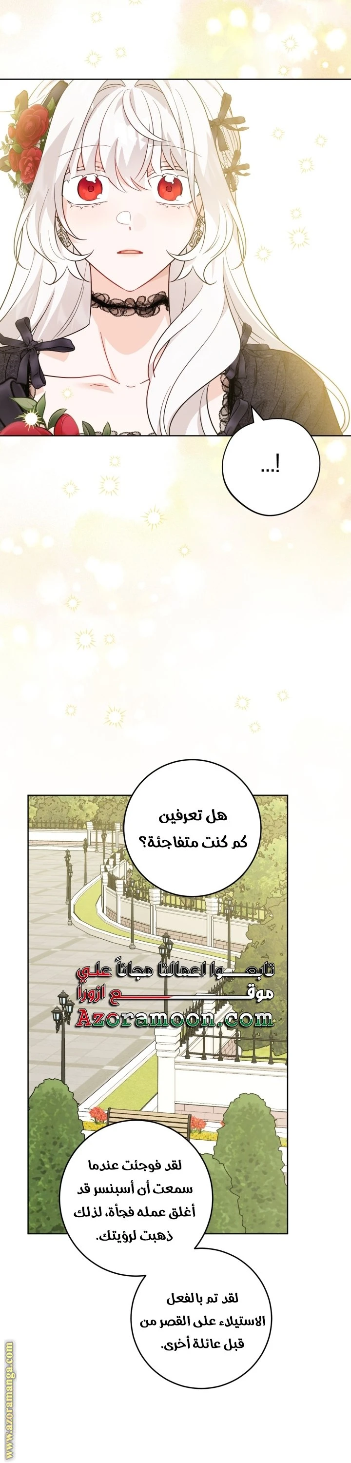 الصفحة 24