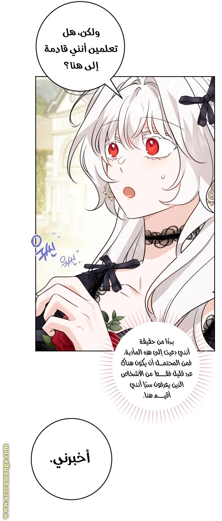 الصفحة 27