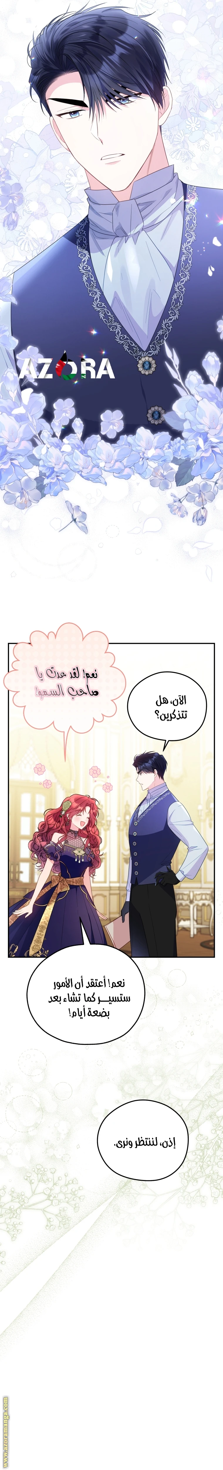 الصفحة 17