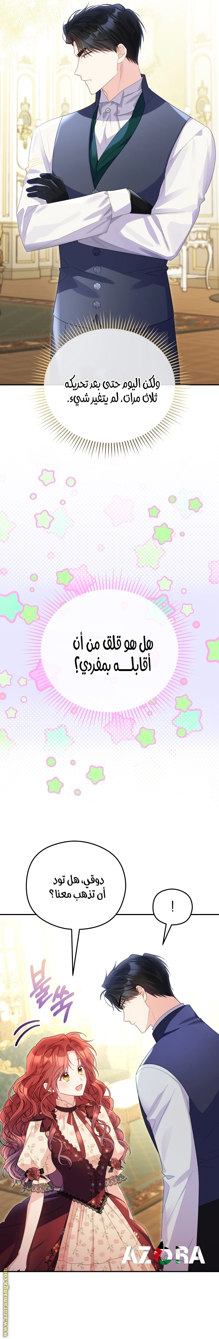 الصفحة 25