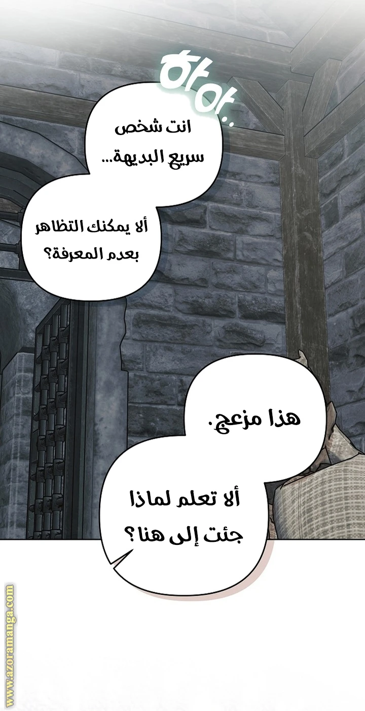 الصفحة 38